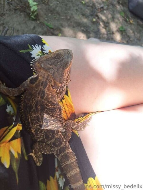 3b66cc89e2b205bd064d2b5f6e19ddc3