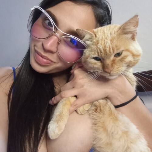 6851c1e944fd4b13b0dc490940d5c9af