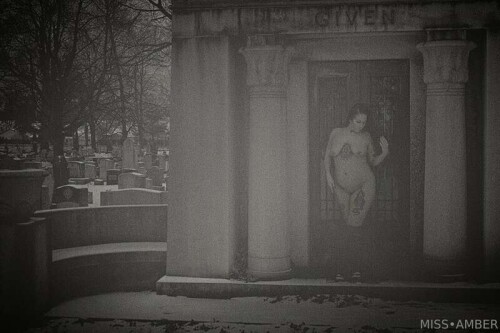 7e59af8d2a8e60021e56ae6aa153f0e5