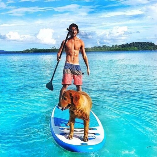 827518ee239b0bcdce054a9f8e35876b