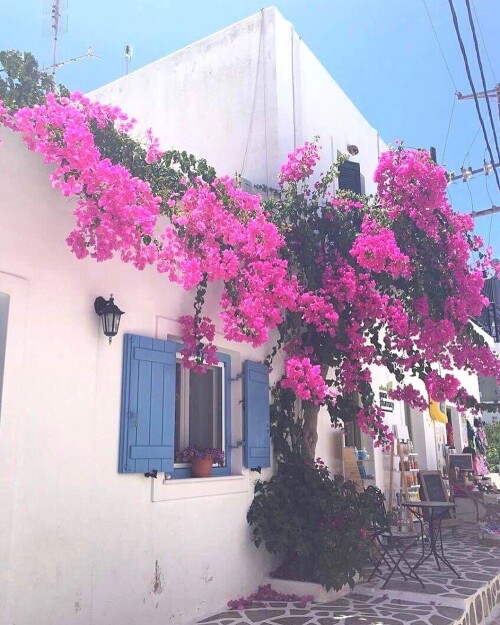 887a6d6636227dbeaf6167dc14613e5c