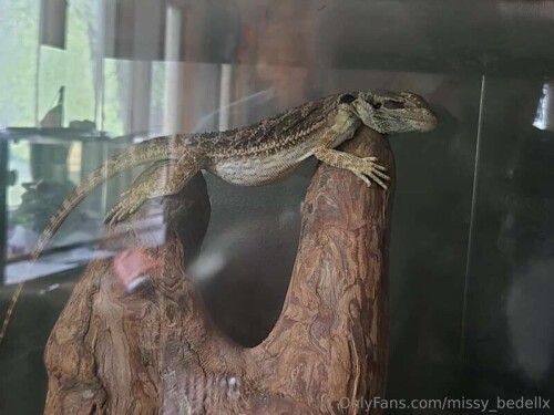 a9353edb739f2961968de63375cc2967