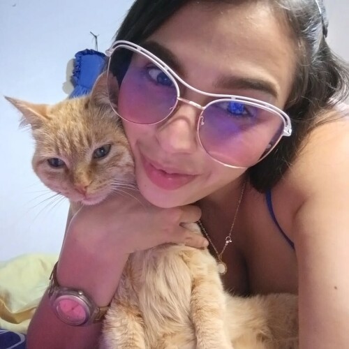 b991b664e4168c5ab8caeebb075a22f8