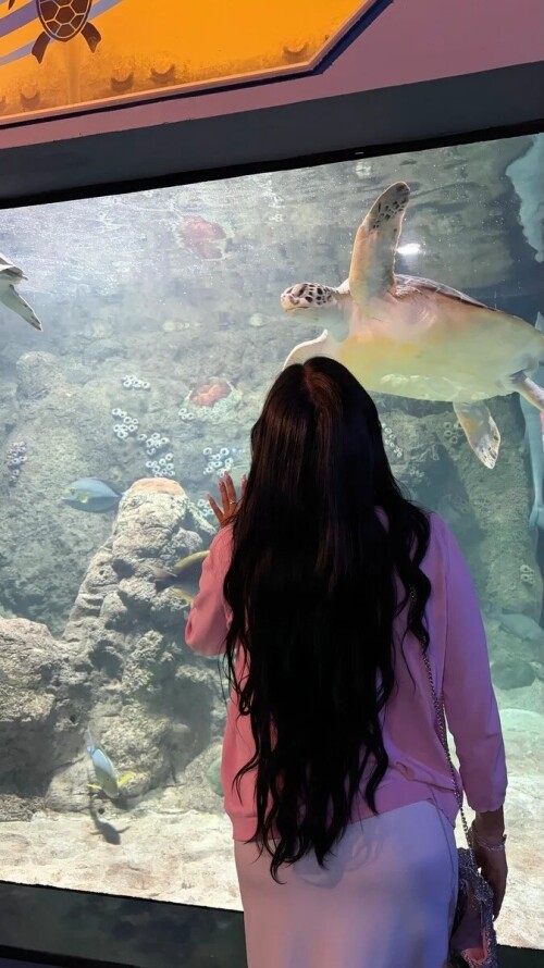 cd945192a2fe94d6eb5742a91aa404a8