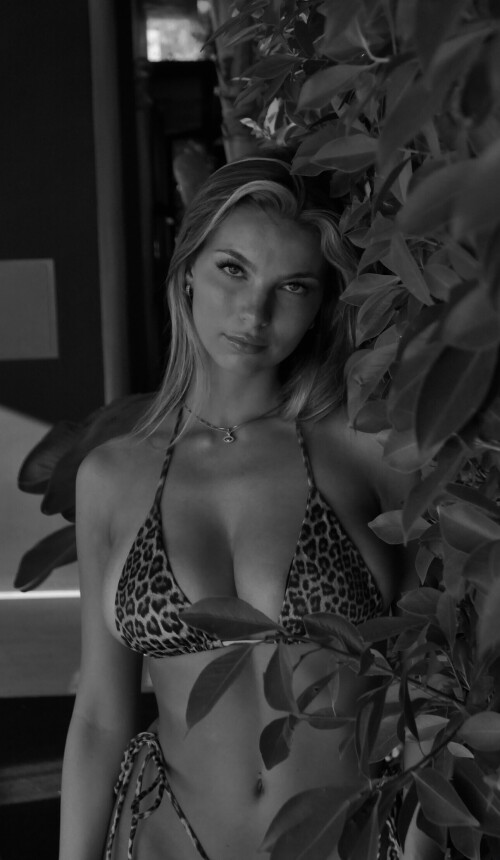 d8efb4fcb3072dfbe8d3a0e04228b456