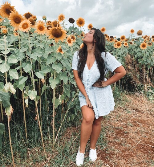 ee1011b64aacfbef7f53a454ccbed193