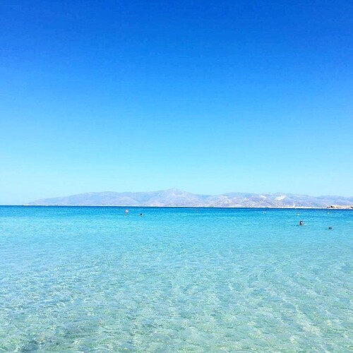 f2ec761ca64332ce19be0a028de24d50