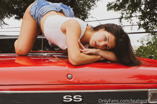 1434dd1321a709ca44899d6d88764bc2