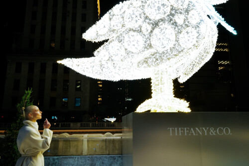 68ce6a25da7fa990dd1b2008d6c29b7c