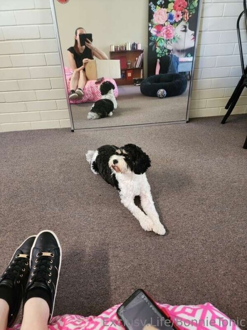 93cc1b03258bbd31c6a1f09915e453b0