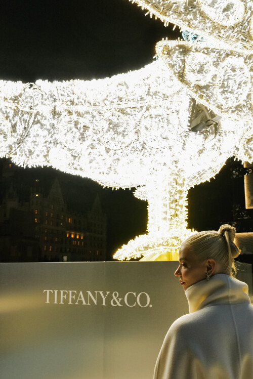 b59f9f6205f648018d2dc23c1eccfaed