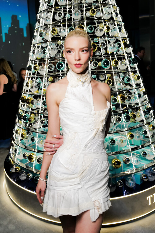 bbb52130fac4efc03f0c23d53cfa0659