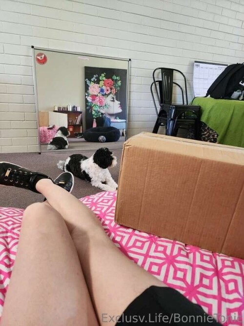 d10b50a1eeb76863b9a2274d1d3768ed