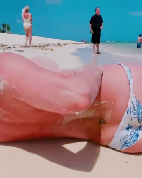 e3e319dfdc9d918e434ad995531341e3