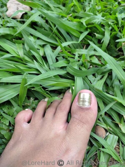 017c7138223fe5ab791abddec6074329