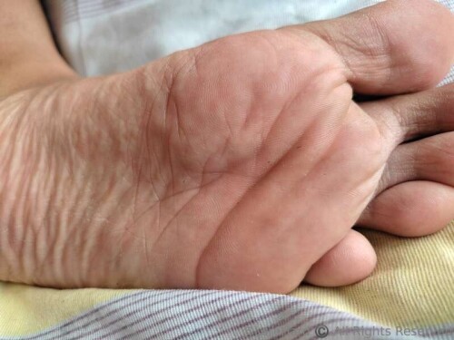 01b5ada647ac9481a51f45ca3676b7f3