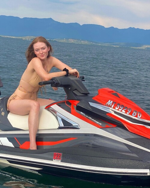 049d1e303501f53df77252b23cfa23e2