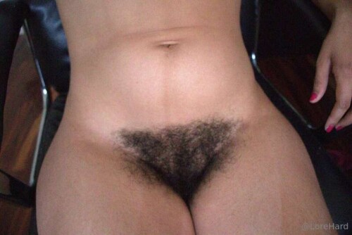 0559772af033f734684429f2d76e4e19