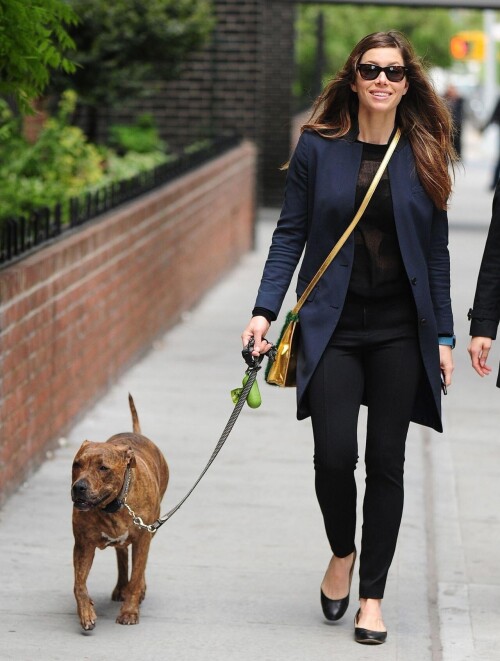 07c0e2882290ec990db1162d45b282bb