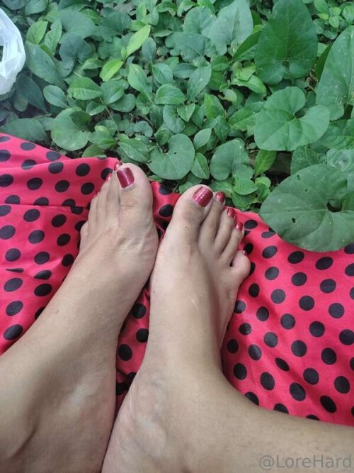 12e25f59f0151c87a4362b9dc1fbc04a