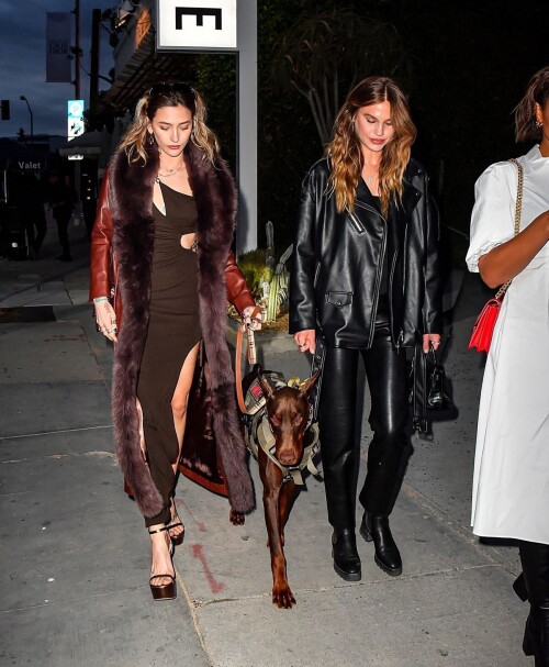 13d03b88ecac72ba58ff75e04181124d