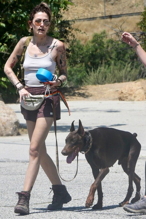 1c1d995d88c001de91fd865d66b7865d