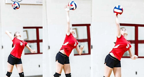 2fa3eef1c4a054ff92cc6fe54a891510