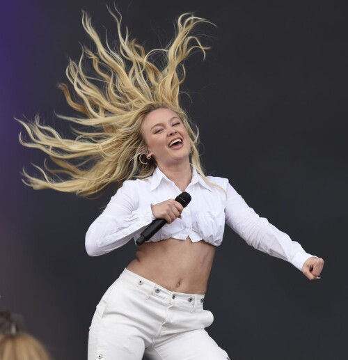 3558624b6e55f1ed72ca4cd5e137a29d