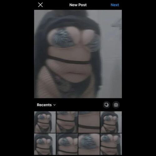 390cc244cd9ed4aaf1e728c1b3e14939