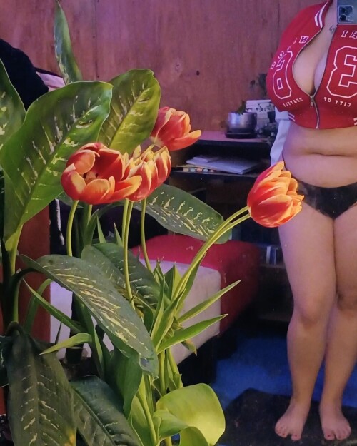 3a4edd965916c92a71fbbbbcb6ecf8fa