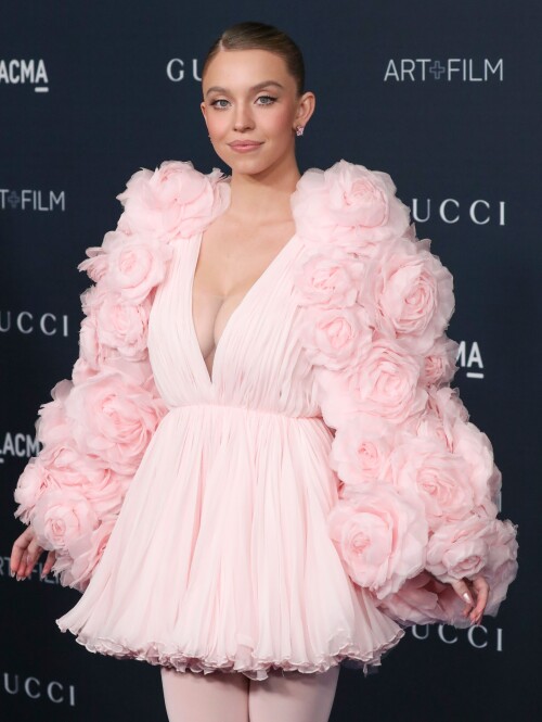 49c928c70c8c74eb8fcf12f5a559d9aa