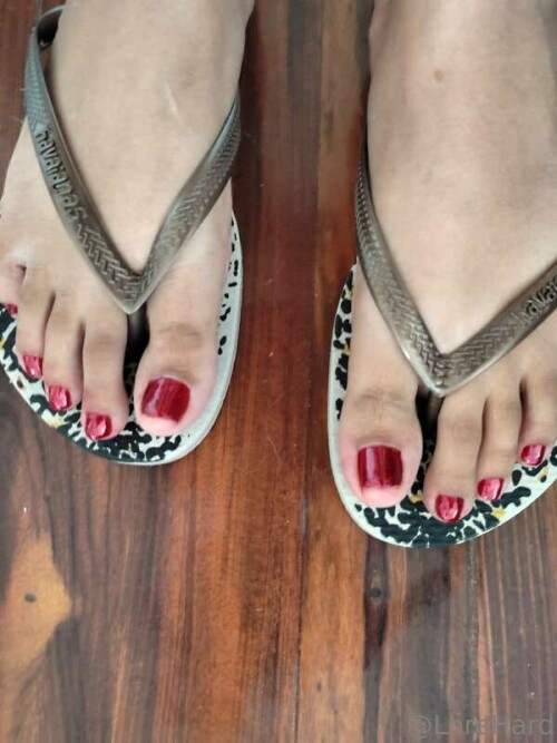 4cd3082926d85504f2b2fafc5793ddc2