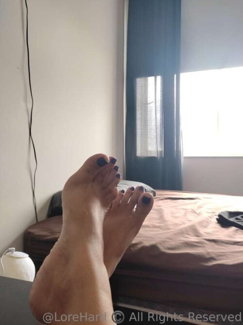 50c48eb873e31d2022a84690b731d164