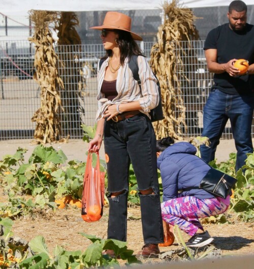 59ca8b7cdd88c3e4327cd45bb3fa03cf