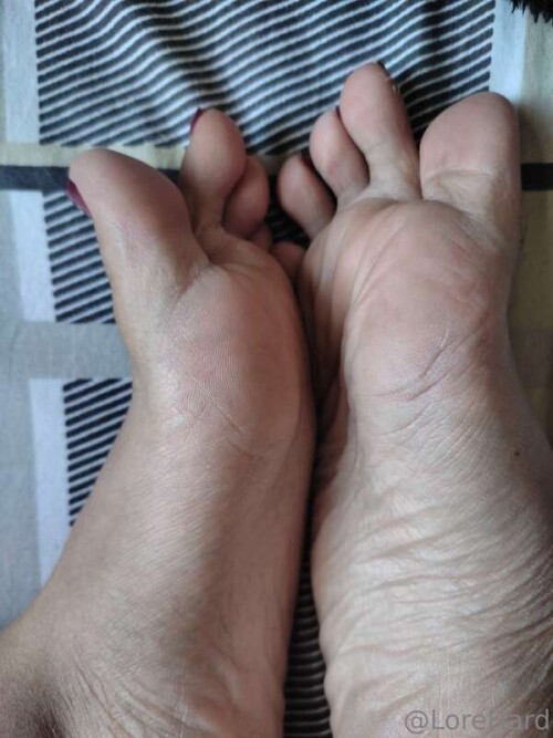 6567a937cdf49dc696596ca51f8e3ce7