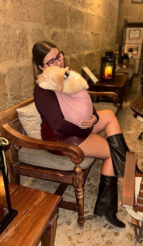 67038588b8428176a538add49805b506