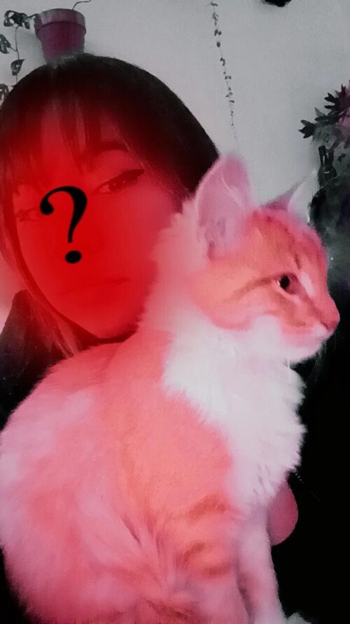 685cd5626993ddf0135cc09e7e8f5e03