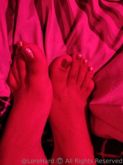 6b68f7f5a56b329fe542f788bf4890b6