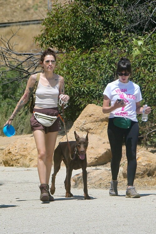 6b8ebd3922341a2d33ad6d5c0585f6d6