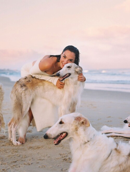 72db54915e05a1ab32d3f187c2f44a55