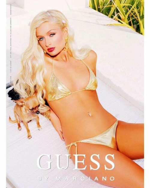 7ee989313bdf93652eb454bcba851ddc