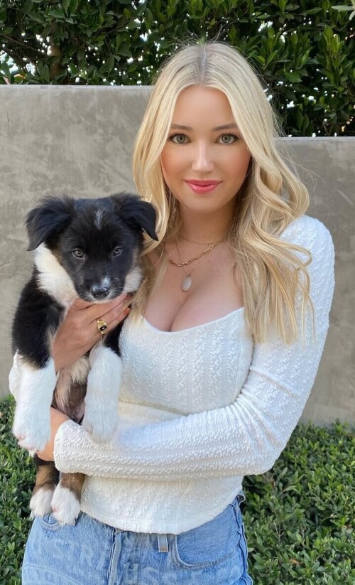 86a528bd479a3cb2ed96029a17e8189d