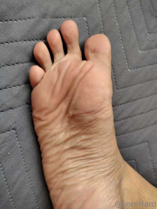 8869044e721b53efccffd75447affd1c