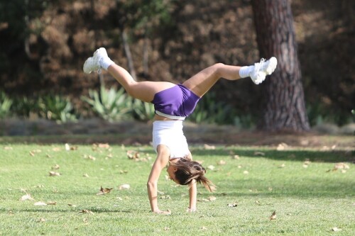 8a3b0d49a38a9adb3e1c6fa5636d7354