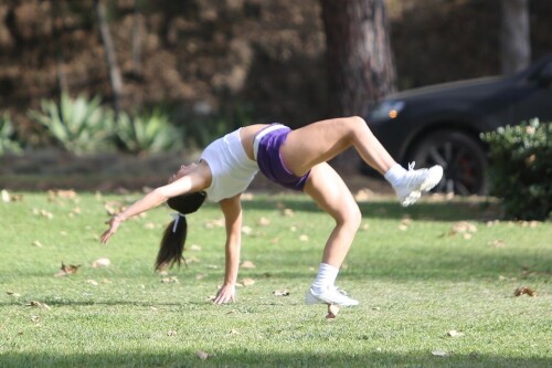 8d5fb299edeef1423b47acdf69fad71e