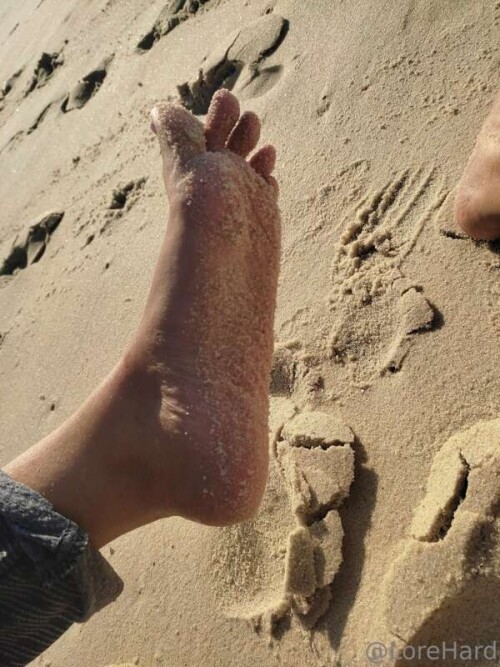 956e7a4111560a7536cea499476946fb