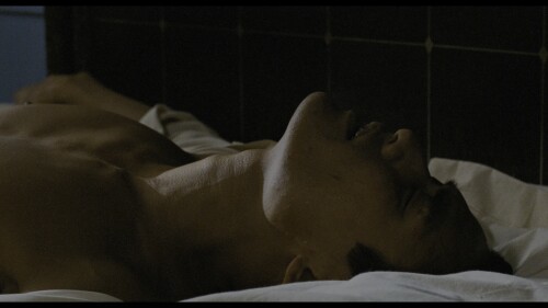 a54a07f15ddc5aa5ea6b7d774402fec0