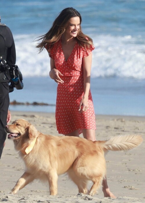 ac04217d1bdf7e3066304afaf47178b2