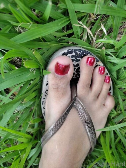 ad0edf0dd88290d9e363f703b699eb01