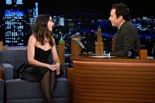 ba2484db95d30b6a42795c48ca95ee2f